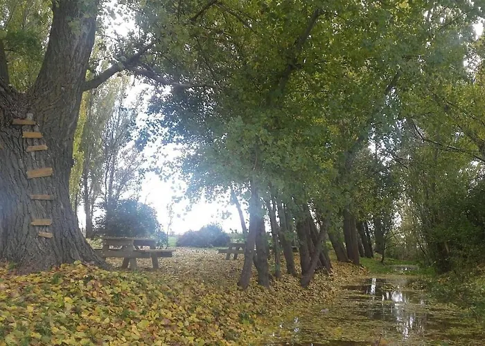 El Molino * Nieva (Segovia)